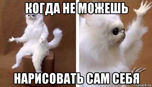 когда не можешь нарисовать сам себя, Мем Чучело кота