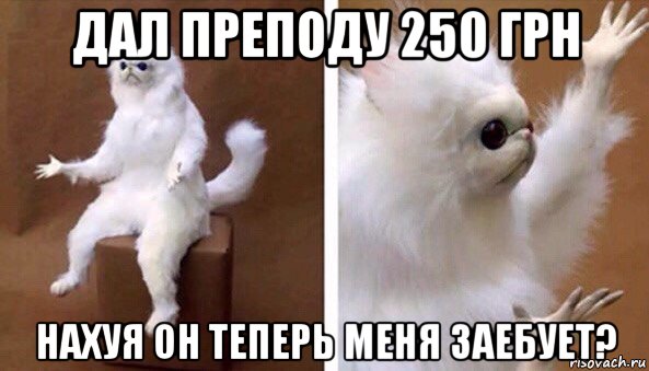 дал преподу 250 грн нахуя он теперь меня заебует?, Мем Чучело кота