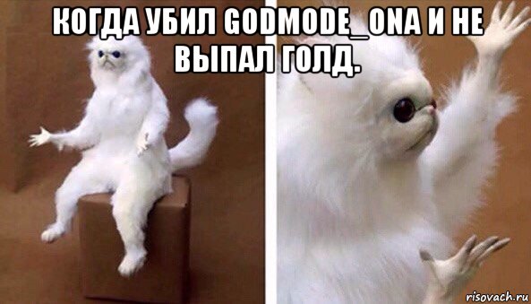 когда убил godmode_ona и не выпал голд. , Мем Чучело кота