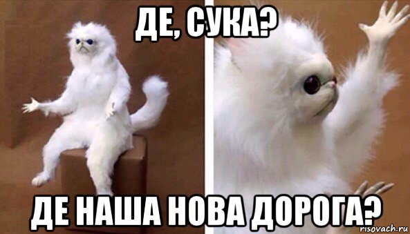 де, сука? де наша нова дорога?, Мем Чучело кота