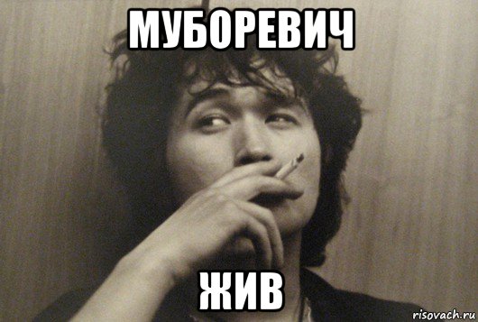 муборевич жив
