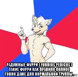  радужные фурри ( furrios pedicos ) такие фурри как правило полное говно даже для нормальной группы ., Мем Да я фурь и мне насрать на ваше мнёние