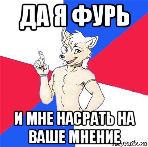 да я фурь и мне насрать на ваше мнение, Мем Да я фурь и мне насрать на ваше мнёние