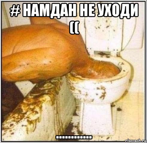 # намдан не уходи (( ............, Мем Дайвер