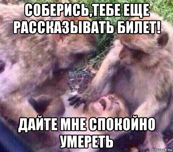 соберись,тебе еще рассказывать билет! дайте мне спокойно умереть