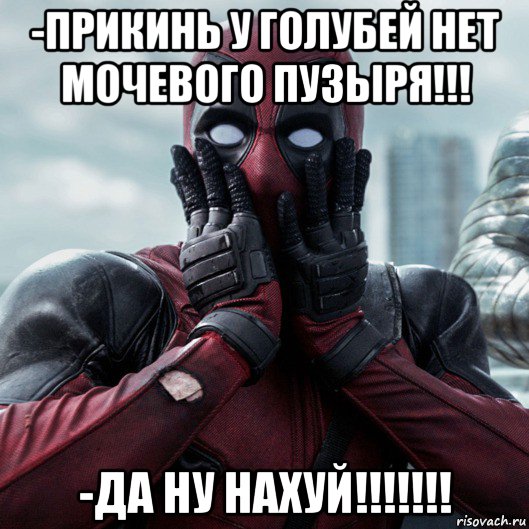 -прикинь у голубей нет мочевого пузыря!!! -да ну нахуй!!!!!!!, Мем     Дэдпул