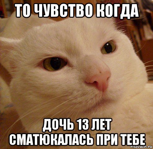 то чувство когда дочь 13 лет сматюкалась при тебе, Мем Дерзкий котэ