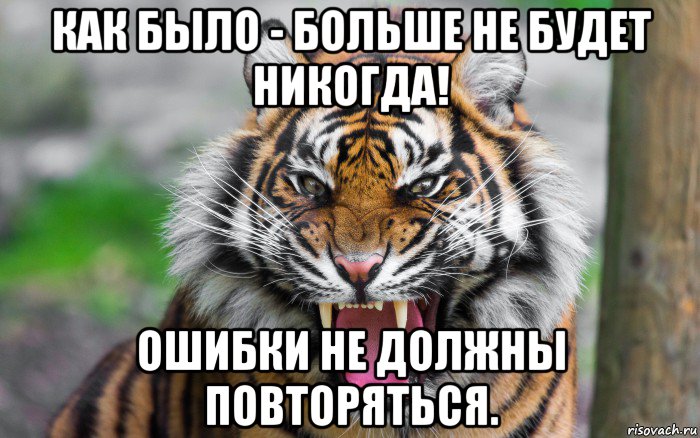 как было - больше не будет никогда! ошибки не должны повторяться., Мем ДЕРЗКИЙ ТИГР