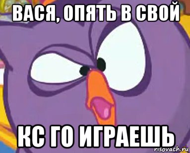 вася, опять в свой кс го играешь