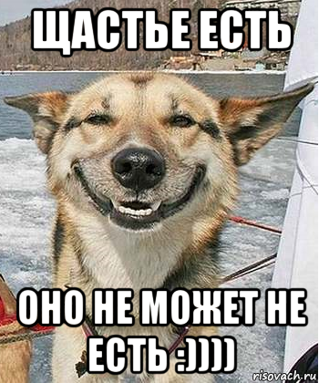 щастье есть оно не может не есть :)))), Мем Довольный пес