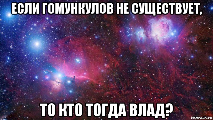 если гомункулов не существует, то кто тогда влад?, Мем  Дружить с тобой офигенно