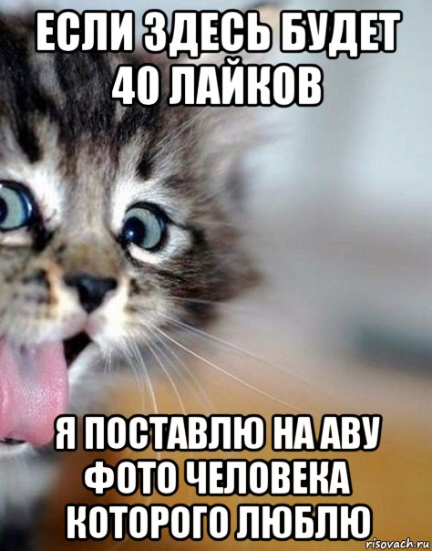 если здесь будет 40 лайков я поставлю на аву фото человека которого люблю