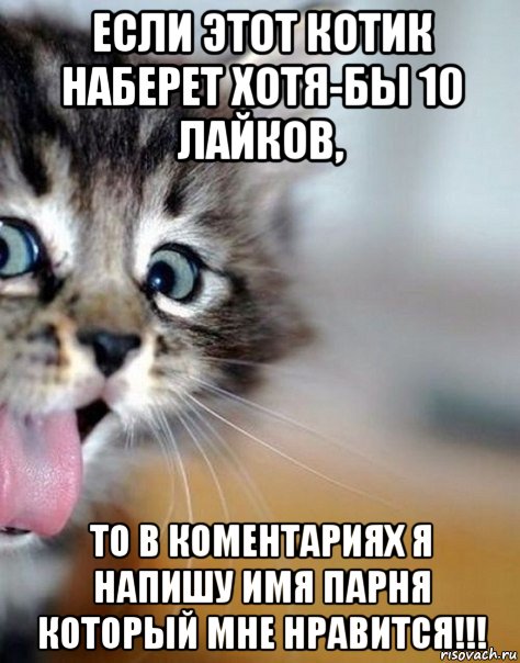 если этот котик наберет хотя-бы 10 лайков, то в коментариях я напишу имя парня который мне нравится!!!