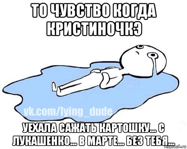 то чувство когда кристиночкэ уехала сажать картошку... с лукашенко... в марте... без тебя..., Мем Этот момент когда