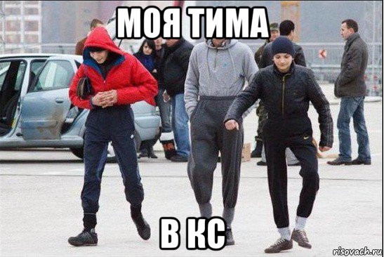 моя тима в кс, Мем фанаты