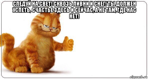 следуй на свет! сквозь ливни и снег! ты должен успеть, счастье здесь и сейчас, а не там, где нас нет! , Мем Фівфівфів