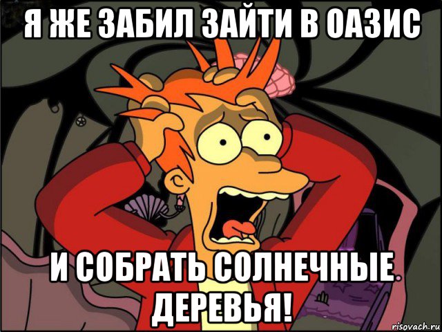 я же забил зайти в оазис и собрать солнечные деревья!, Мем Фрай в панике