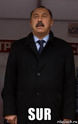  sur, Мем Газзаев