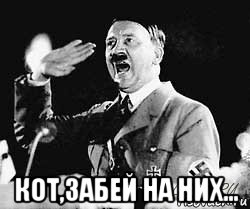  кот,забей на них...
