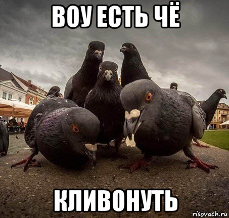 воу есть чё кливонуть