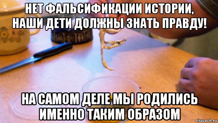нет фальсификации истории, наши дети должны знать правду! на самом деле мы родились именно таким образом, Мем Гомункул