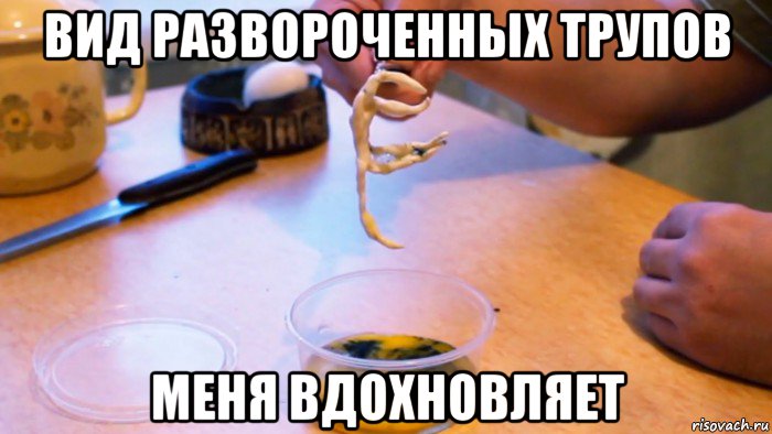 вид развороченных трупов меня вдохновляет, Мем Гомункул