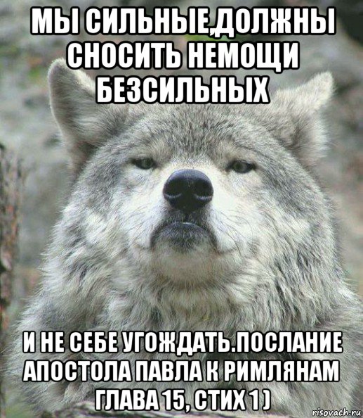 мы сильные,должны сносить немощи безсильных и не себе угождать.послание апостола павла к римлянам глава 15, стих 1 ), Мем    Гордый волк