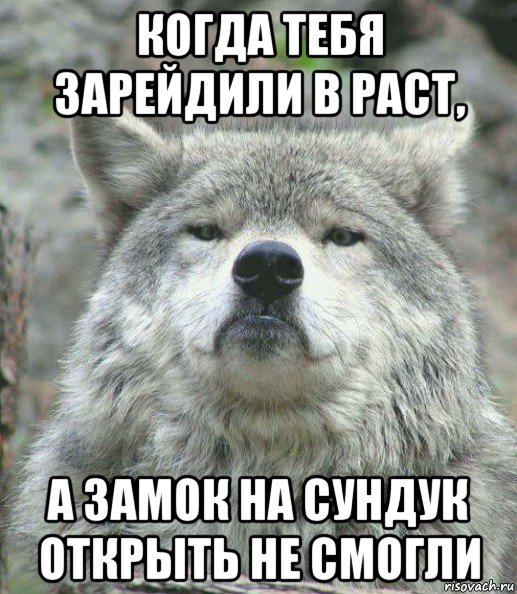 когда тебя зарейдили в раст, а замок на сундук открыть не смогли, Мем    Гордый волк