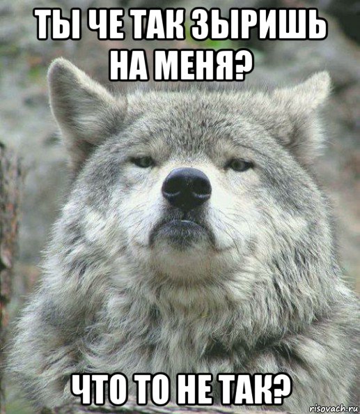 ты че так зыришь на меня? что то не так?