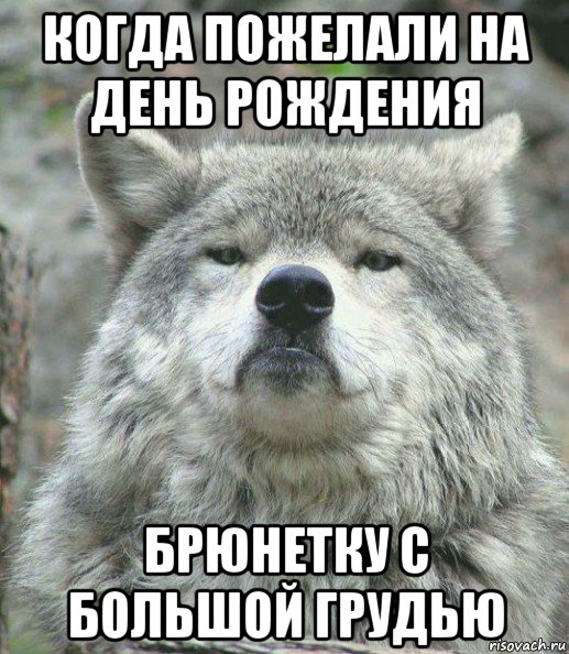 когда пожелали на день рождения брюнетку с большой грудью, Мем    Гордый волк