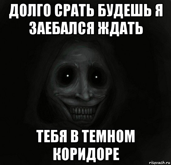 долго срать будешь я заебался ждать тебя в темном коридоре, Мем Ночной гость