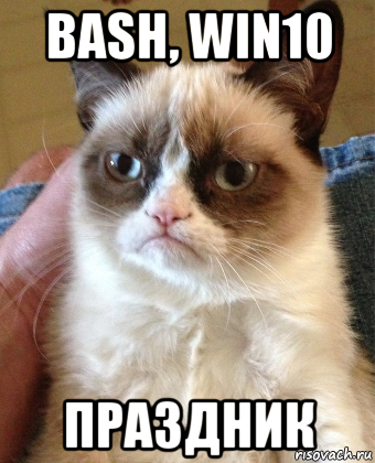 bash, win10 праздник, Мем Grumpy Cat small