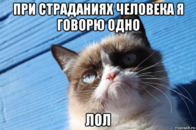 при страданиях человека я говорю одно лол, Мем  grumpy cat