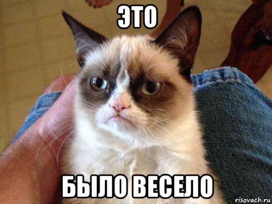 это было весело, Мем grumpy