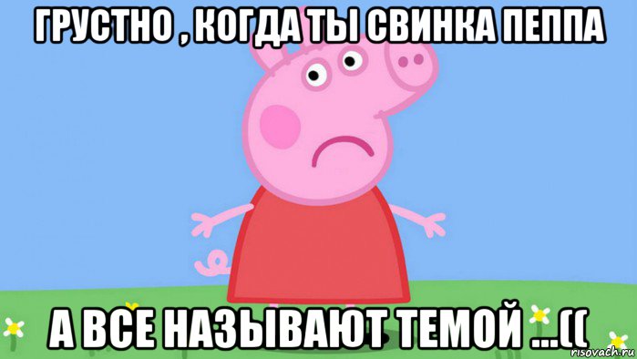 грустно , когда ты свинка пеппа а все называют темой ...((
