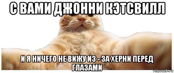 с вами джонни кэтсвилл и я ничего не вижу из - за херни перед глазами, Мем   Кэтсвилл