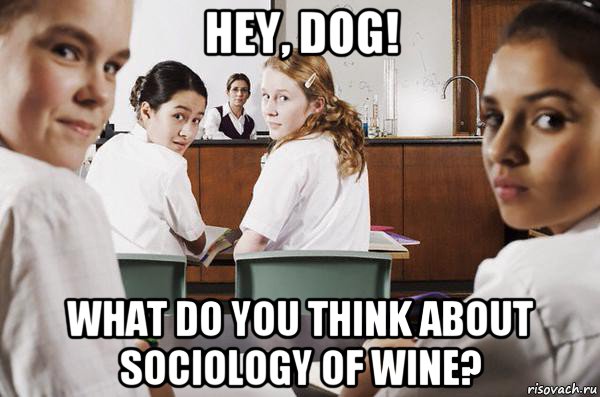 hey, dog! what do you think about sociology of wine?, Мем В классе все смотрят на тебя