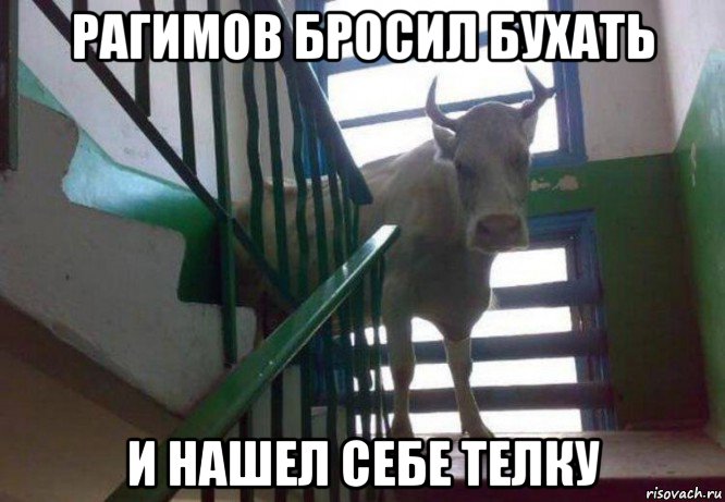 рагимов бросил бухать и нашел себе телку
