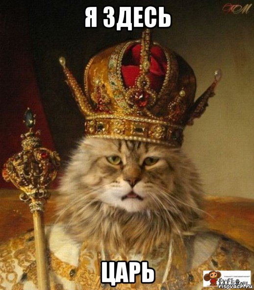 я здесь царь