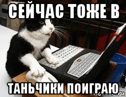 сейчас тоже в таньчики поиграю, Мем Кошка за компьютером