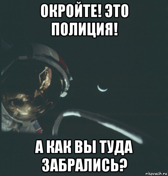 окройте! это полиция! а как вы туда забрались?