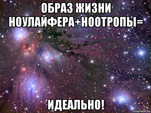 образ жизни ноулайфера+ноотропы= идеально!, Мем Космос