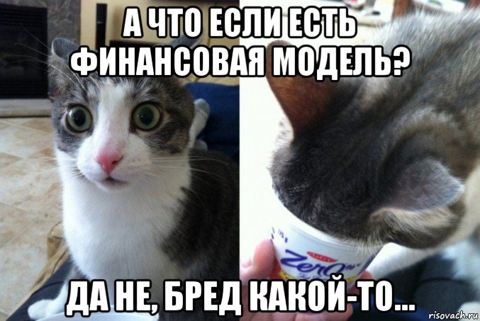 а что если есть финансовая модель? да не, бред какой-то...
