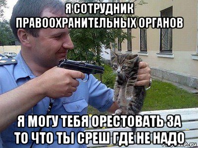 я сотрудник правоохранительных органов я могу тебя орестовать за то что ты среш где не надо, Мем Кот и мент