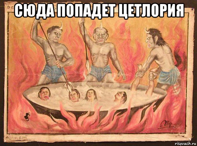сюда попадет цетлория 