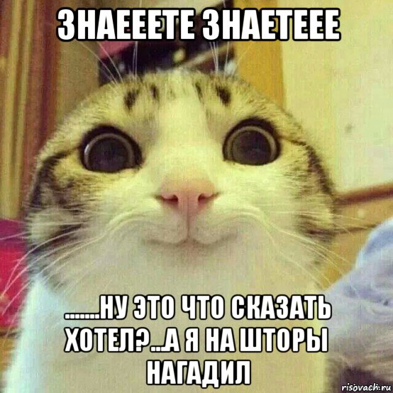 знаееете знаетеее .......ну это что сказать хотел?...а я на шторы нагадил, Мем       Котяка-улыбака