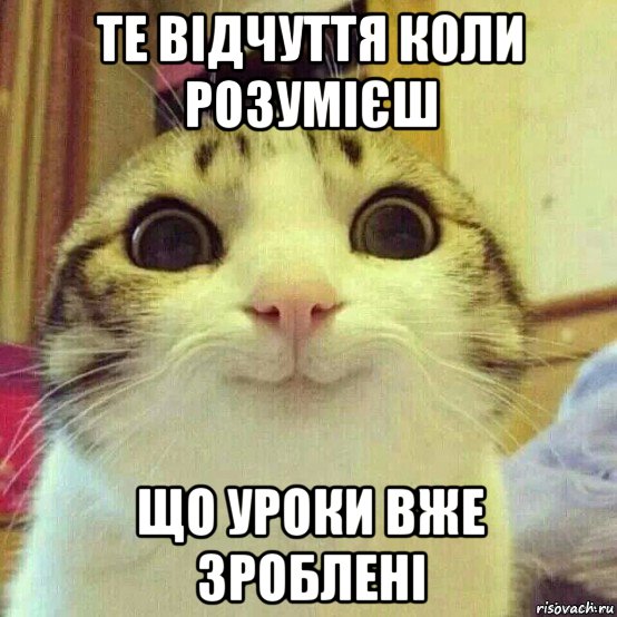 те відчуття коли розумієш що уроки вже зроблені, Мем       Котяка-улыбака