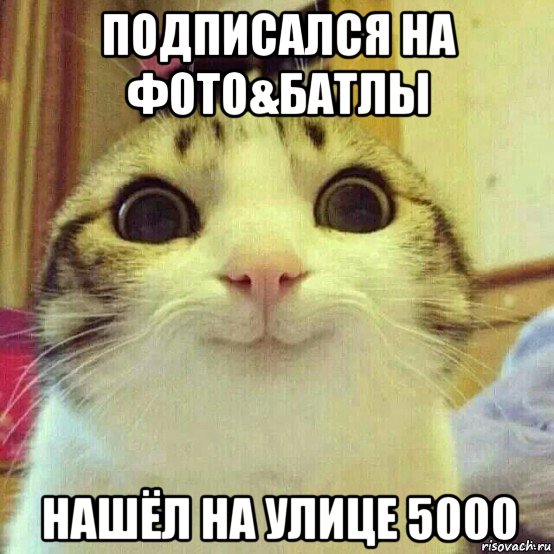 подписался на фото&батлы нашёл на улице 5000, Мем       Котяка-улыбака