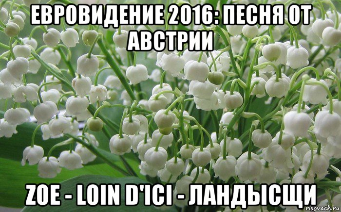 евровидение 2016: песня от австрии zoe - loin d'ici - ландысщи, Мем Ландыши