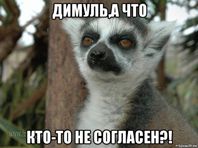 димуль,а что кто-то не согласен?!